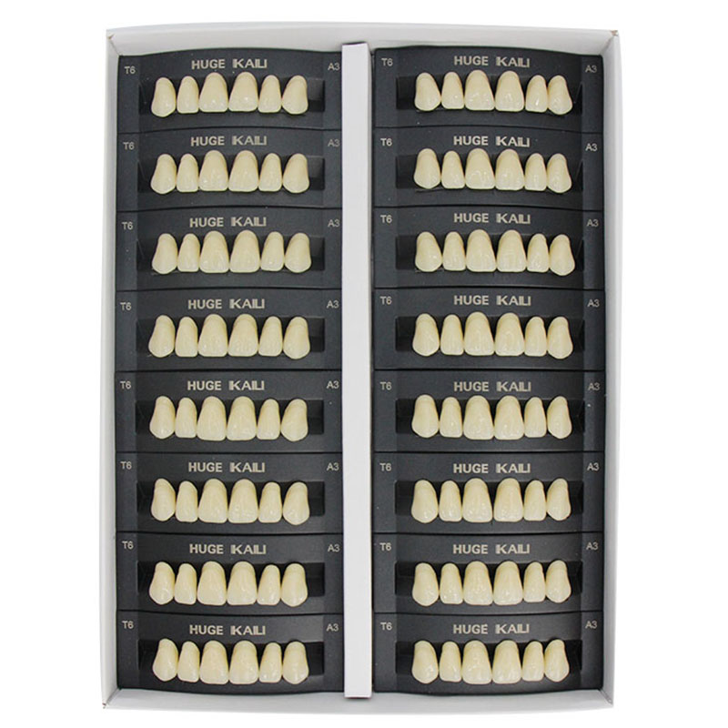 Resin Art Case - 4/12/16 ensembles/boîte dents dentaires en résine