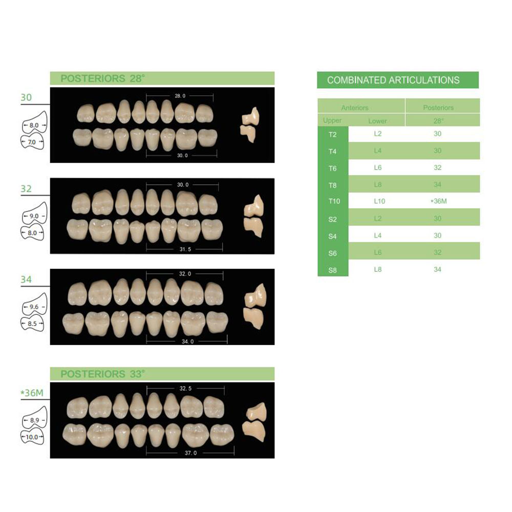4/12/16 ensembles/boîte dents  - Resin Art Case avis et prix