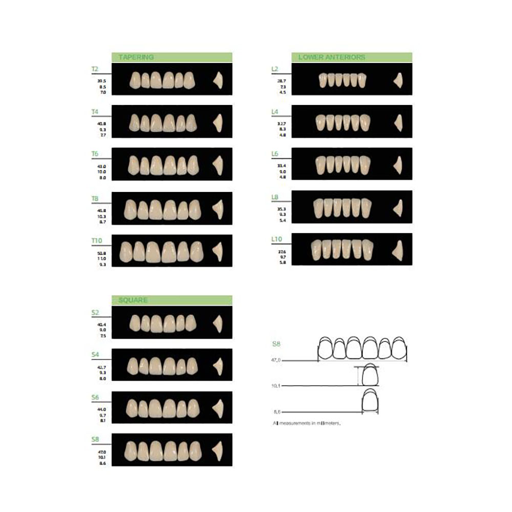 4/12/16 ensembles/boîte dents  - Resin Art Case avis et prix