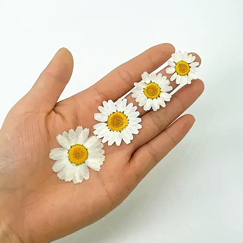 100 pièces de spécimens de pla - Resin Art Stone avis et prix