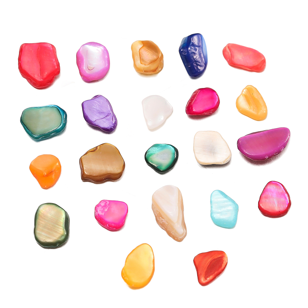 Fragments de coquillage mixtes - Resin Art Stone avis et prix